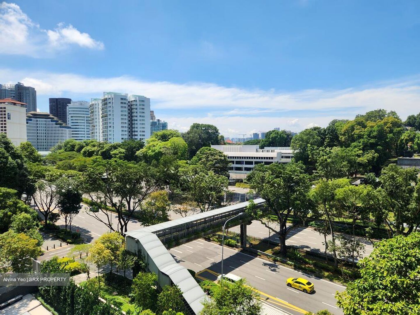 8 Napier (D10), Condominium #501323911